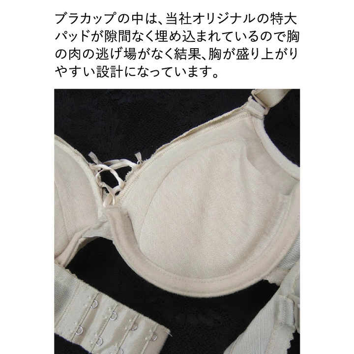 uw-ca-bra_6